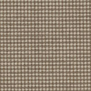 Accent uni 11/79 De Ploeg