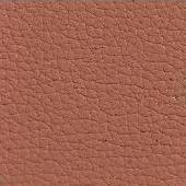 z Cognac Other