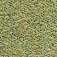 427  Kvadrat