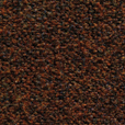 558  Kvadrat