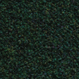 898  Kvadrat