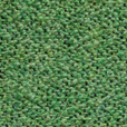 927  Kvadrat